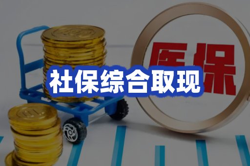 社保综合取现